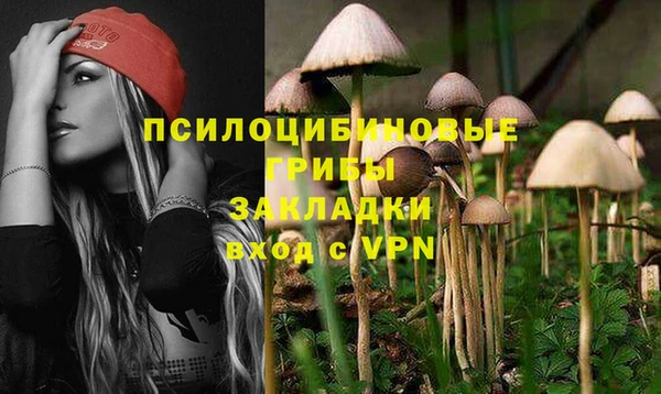 ешки Балахна