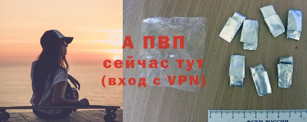 гашик Белокуриха