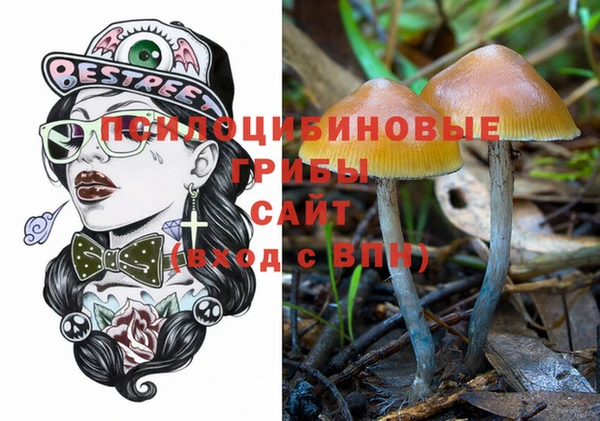 ешки Балахна