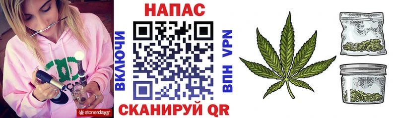 Бошки Шишки Amnesia  даркнет как зайти  Сенгилей  сколько стоит 